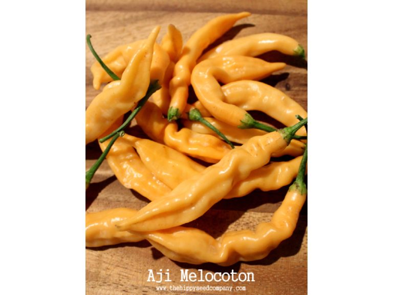 Mild Flavoursome Chilli Peppers